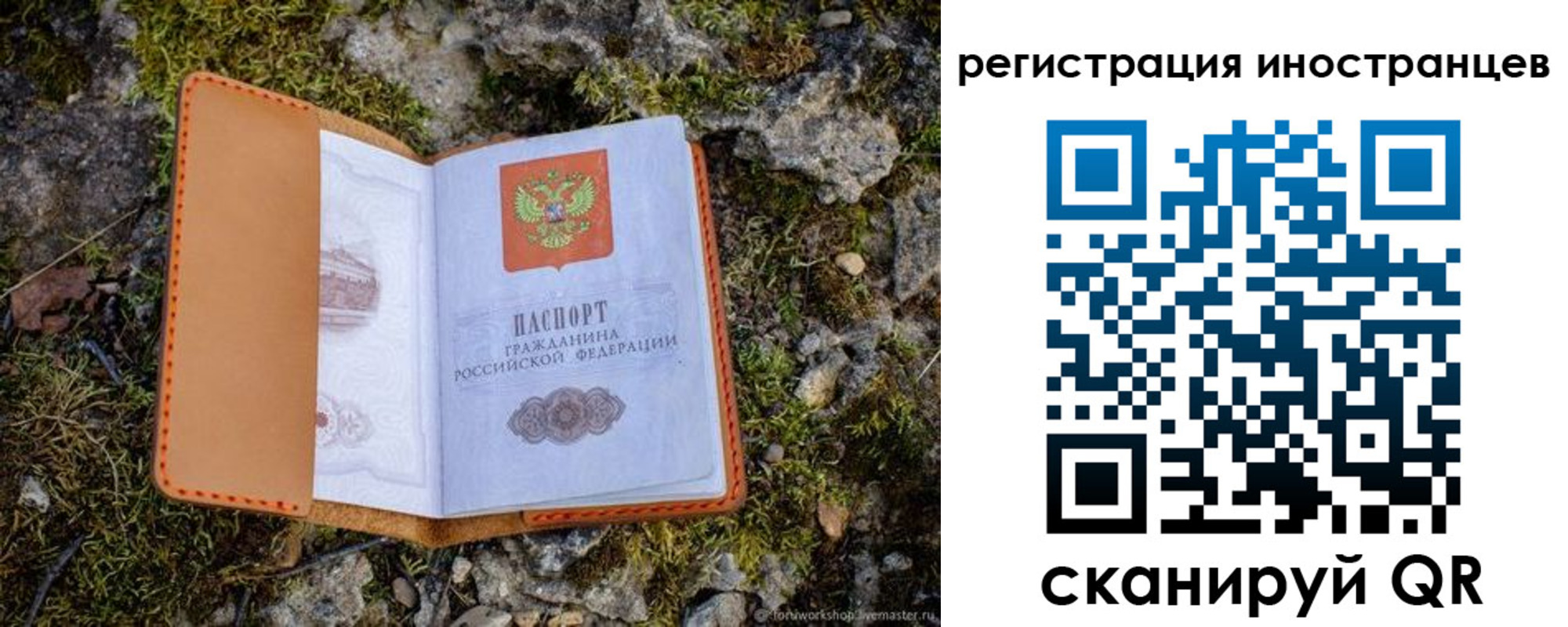 прописка паспорт в Ульяновской области